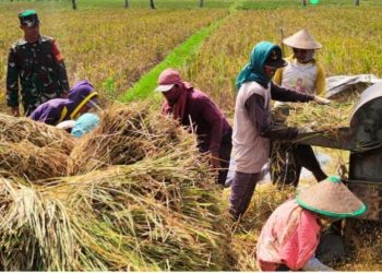 BPS Catat Februari 2026 NTP Aceh Naik 0,03 Persen