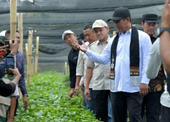Wagub Aceh Dampingi Mentan Tinjau Produksi Beni Kopi Gayo