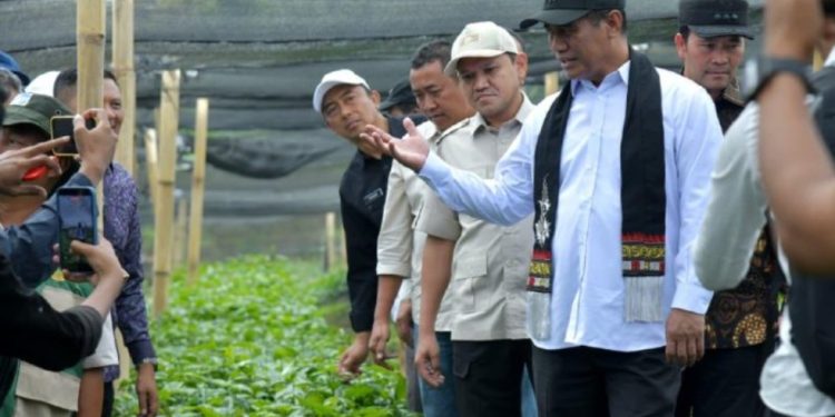 Wagub Aceh Dampingi Mentan Tinjau Produksi Beni Kopi Gayo