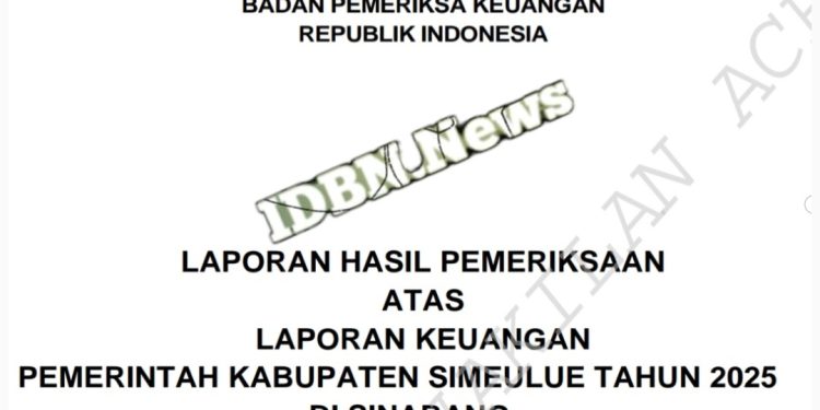 BPK Soroti Kemampuan Keuangan Simeulue, Potensi Gagal Bayar Capai Rp36,1 Miliar